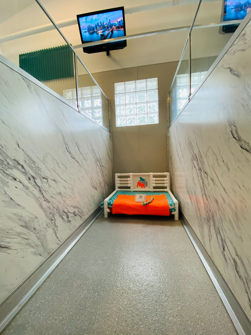 Dog Boarding Pet Hotel Hadley