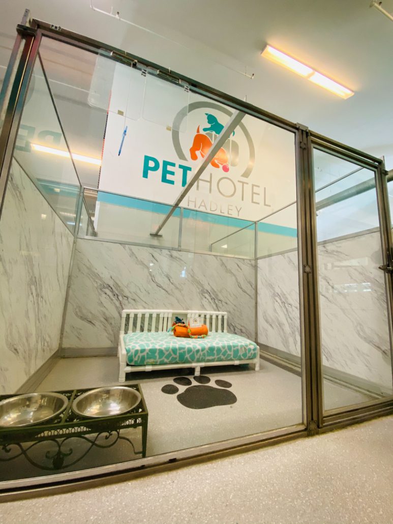 Dog Boarding Pet Hotel Hadley