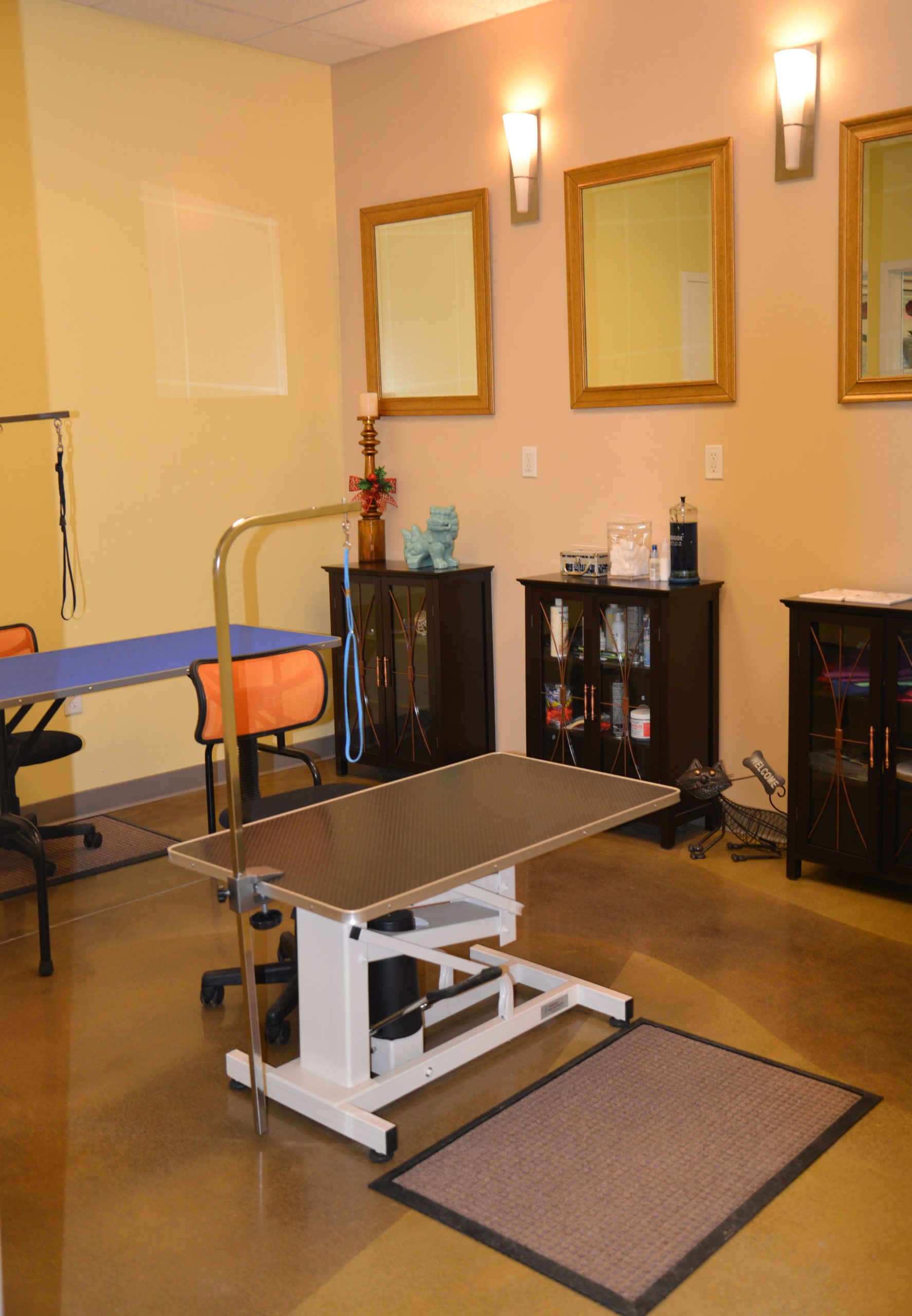 Dog and Cat Grooming Pet Hotel Hadley