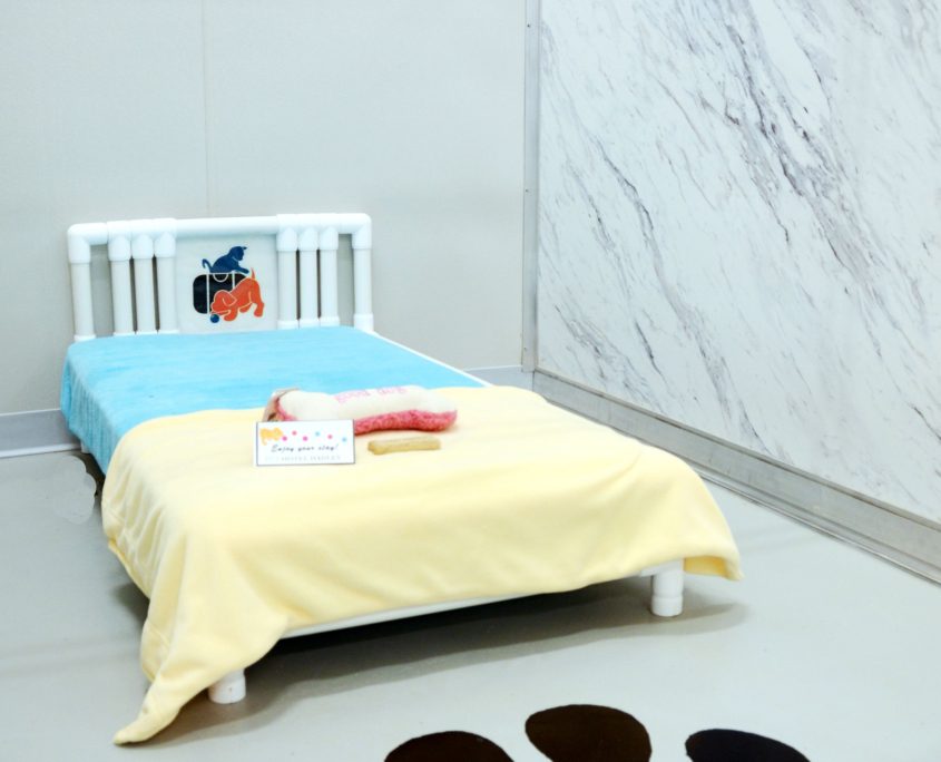 Pet Hotel Hadley Pet Hotel Hadley