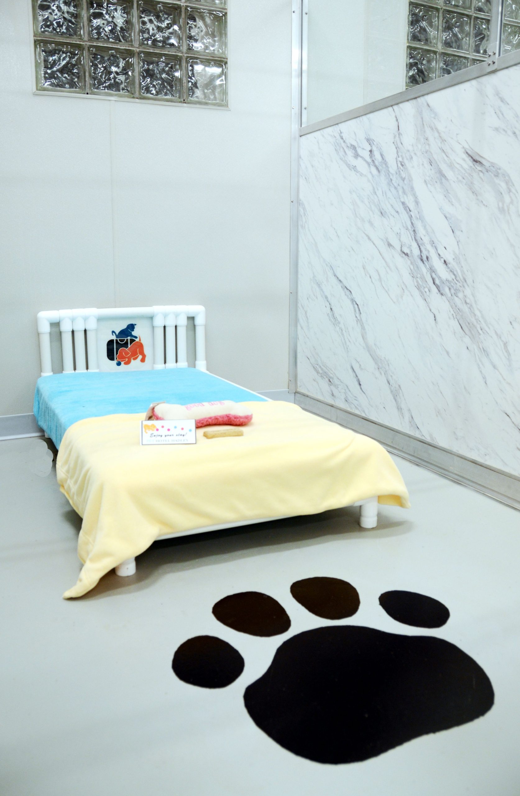 Dog Boarding Pet Hotel Hadley