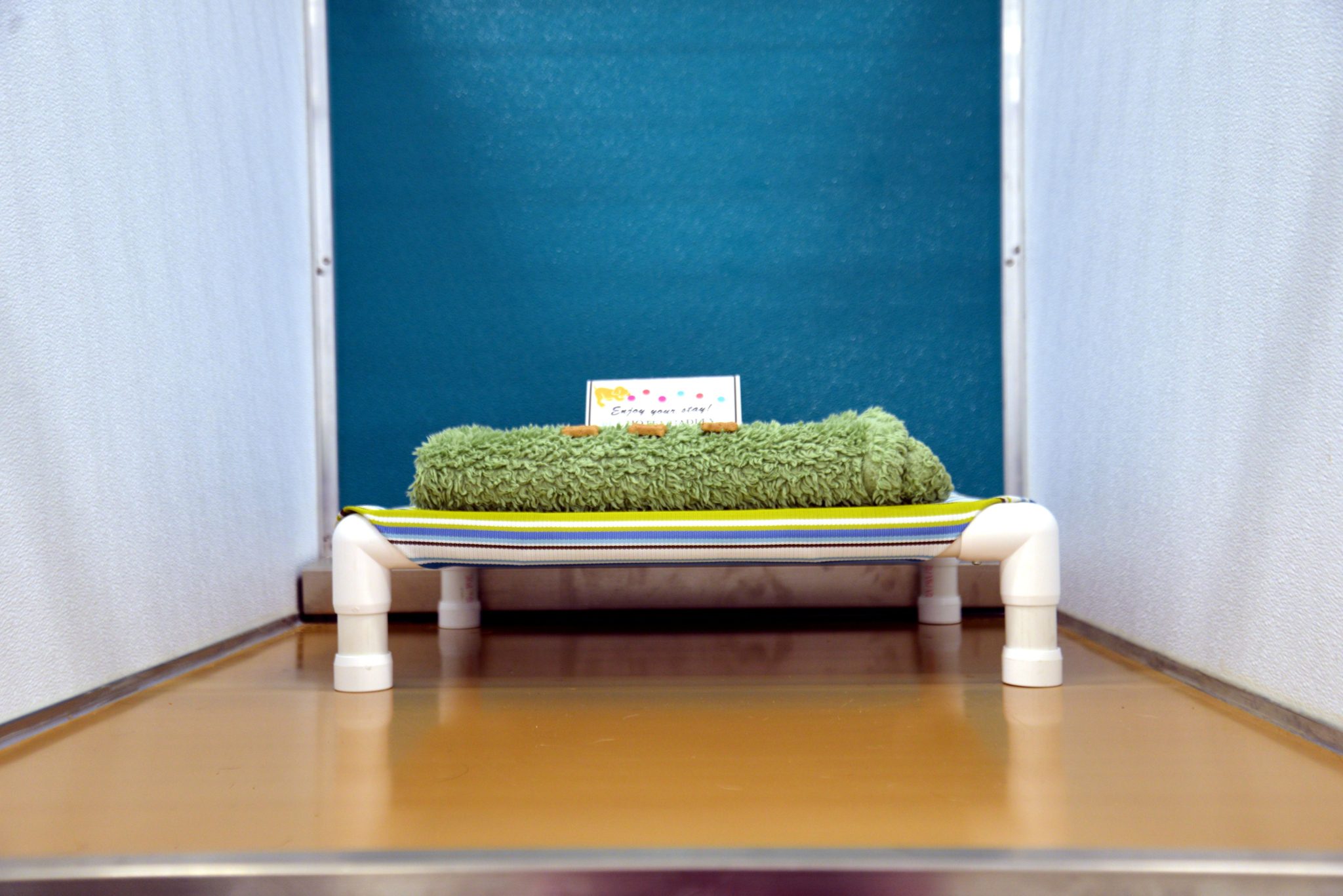 Dog Boarding Pet Hotel Hadley