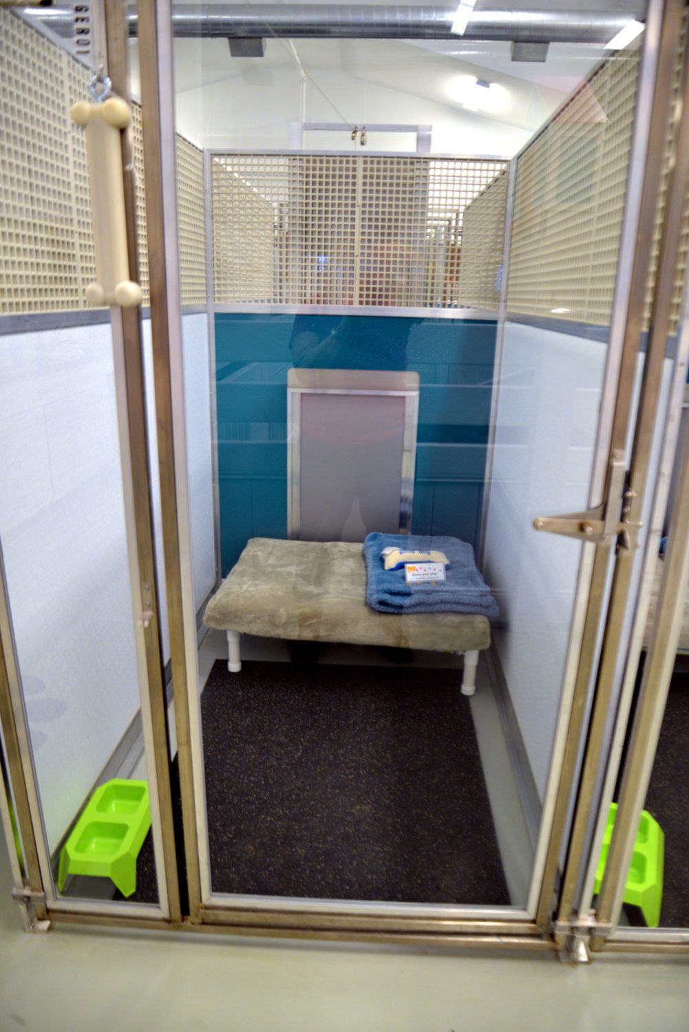 Dog Boarding Pet Hotel Hadley