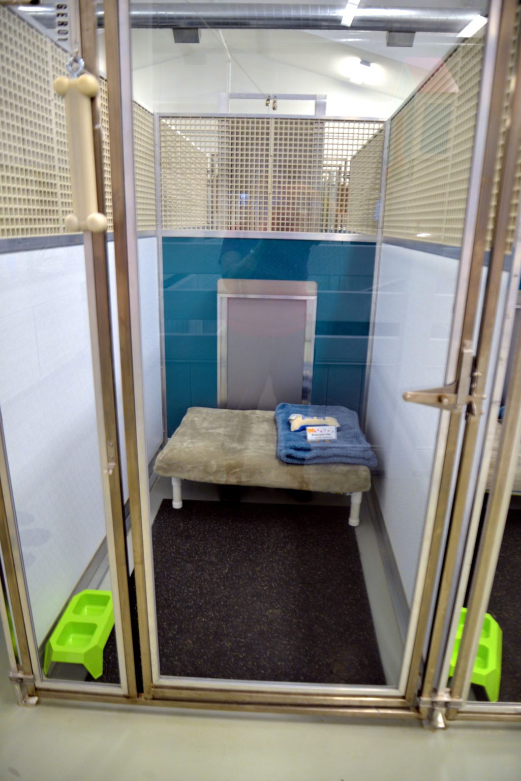 Dog Boarding Pet Hotel Hadley