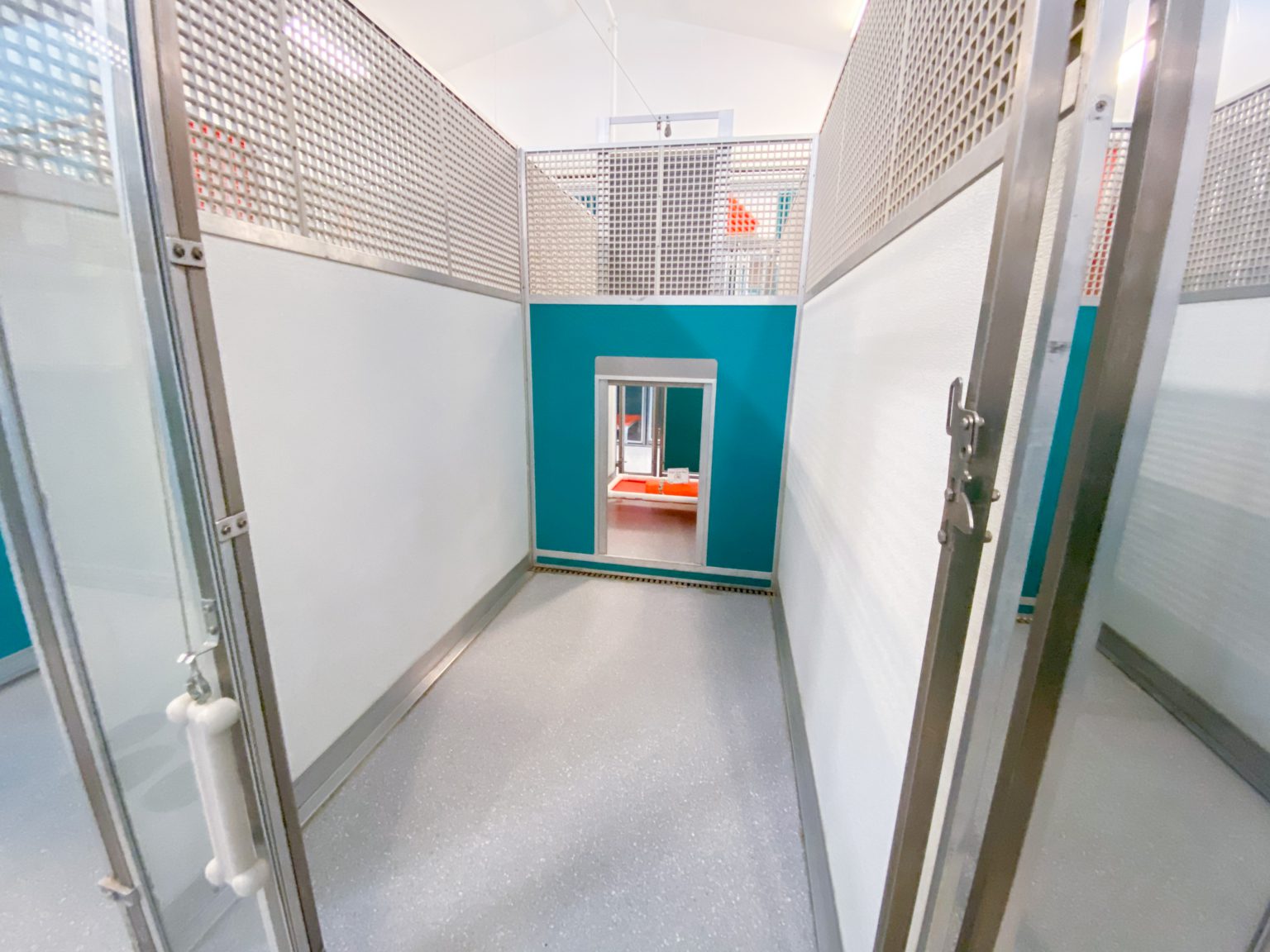 Dog Boarding Pet Hotel Hadley