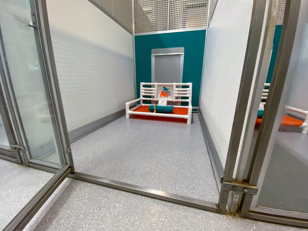 Dog Boarding Pet Hotel Hadley