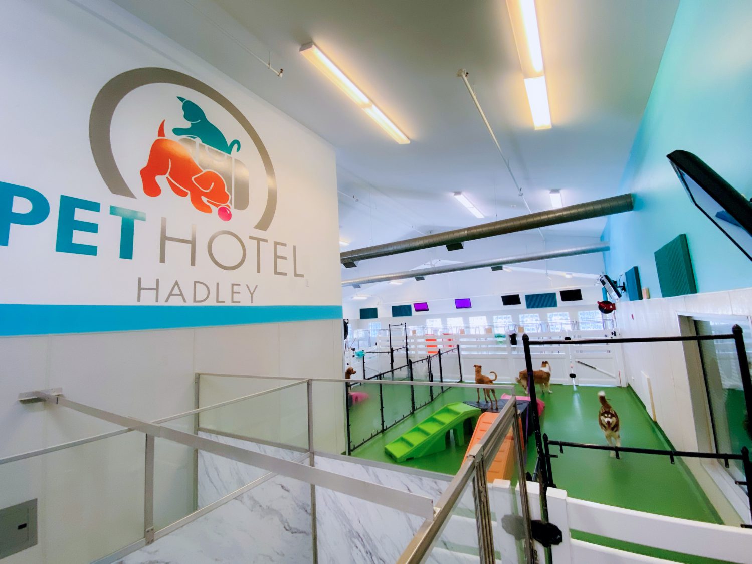 Pet Hotel Hadley Pet Hotel Hadley